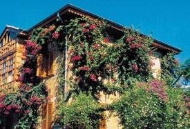 Begonville Pansiyon  - Antalya Flyplasstransport
