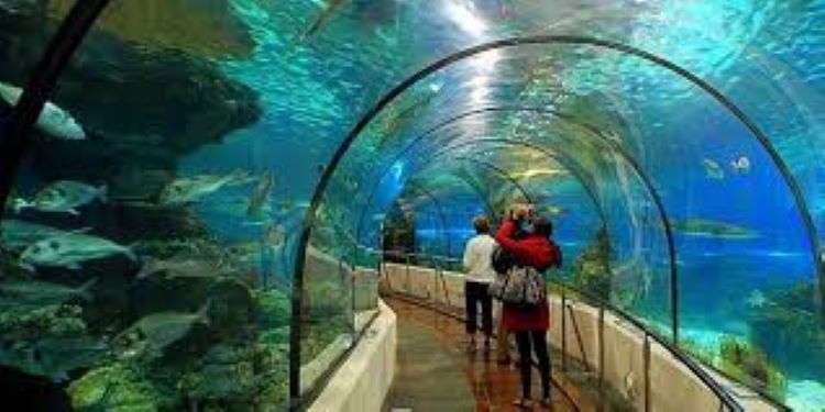 Antalya Aquarium & Tunektepe Cable Car for Disabled